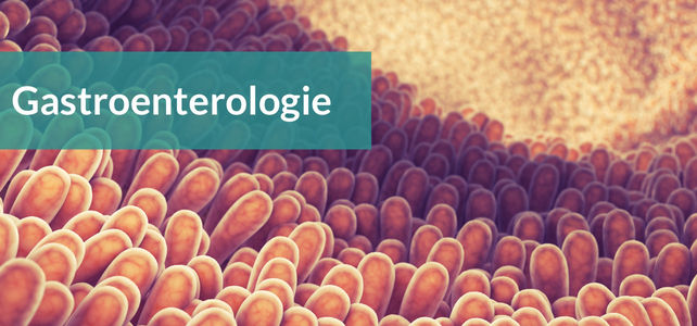 Fachbereichsseite Gastroenterologie