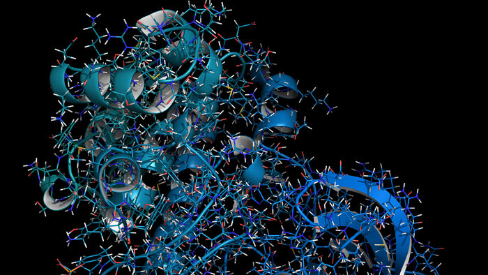JAK1-Protein als Illustration